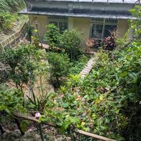 Garden underneath at Fuku Mame in Nanjo