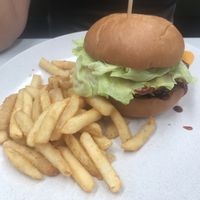 Vegan burger   at Slipstream Brewing Company in Yeerongpilly
