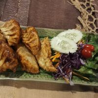 Gyoza at Vlodge Vegan Hotel in Chiang Mai