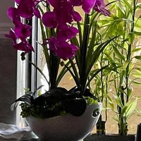 Flowers at Yum Yum Hot Pot in Port St Lucie
