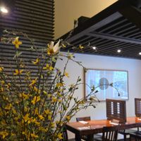 Interior at Franchia Vegan Cafe in New York City