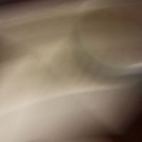 Tea persimmon  at Franchia Vegan Cafe in New York City