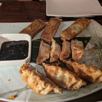 Dumpling platter at Franchia Vegan Cafe in New York City