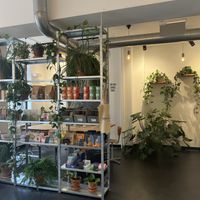 Cafe  at Bakery Bakery - Länggasse in Bern