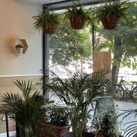 Plants! at Paradise Food in Skopje