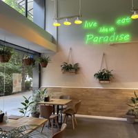 More plants 🪴  at Paradise Food in Skopje