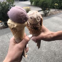 Vegan ice creams  at Duck Island Ice Cream in Auckland