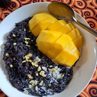 Mango sticky rice at Vegan Society in Chiang Mai