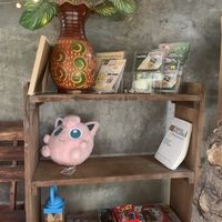 Tienen juegos   at Vegan Society in Chiang Mai