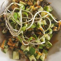 Cucumber salad at Vegan Society in Chiang Mai