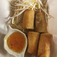 Spring Rolls at Vegan Society in Chiang Mai
