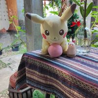  at Vegan Society in Chiang Mai