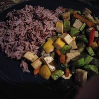 Tofu eggplant stir fry  at Vegan Society in Chiang Mai