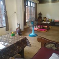 Room at Vegan Society in Chiang Mai