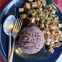 Tofu and ginger (special)  #Veganuary at Vegan Society in Chiang Mai