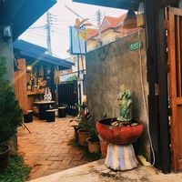   at Vegan Society in Chiang Mai
