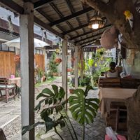 interior at Vegan Society in Chiang Mai