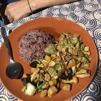   at Vegan Society in Chiang Mai