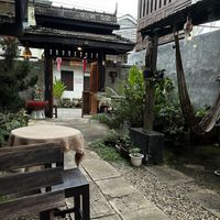 Great vibe  at Vegan Society in Chiang Mai