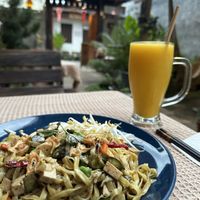 Fried Yellow curry noodles  at Vegan Society in Chiang Mai