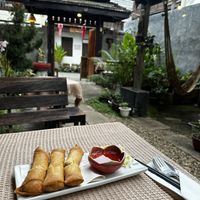 Spring rolls  at Vegan Society in Chiang Mai