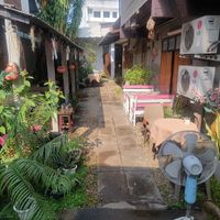  at Vegan Society in Chiang Mai