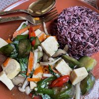 Eggplant + tofu  at Vegan Society in Chiang Mai