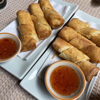 Crispy spring rolls!  at Vegan Society in Chiang Mai