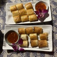   at Vegan Society in Chiang Mai