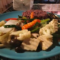 rice with tofu and mixed veggies at Vegan Society in Chiang Mai