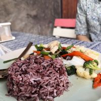 stir fry mixed veggies and tofu  at Vegan Society in Chiang Mai