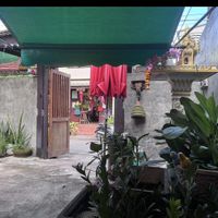   at Vegan Society in Chiang Mai