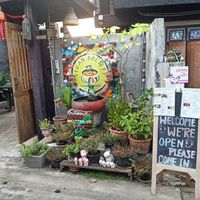  at Vegan Society in Chiang Mai