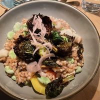 Brusse sprouts over succotashh  at Dyberry Forks in Honesdale