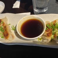veggie dumplings  at Dragonfly Sushi & Sake Company in Gainesville