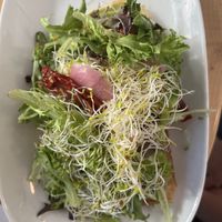 Avocado toast  at Tractor Foods in Victoria