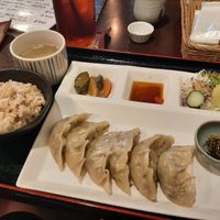 Gyoza plate at Cafe Ren - Kamigyo in Kyoto