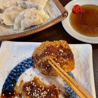 Dumplings and tofu nuggets and   at Cafe Ren - Kamigyo in Kyoto