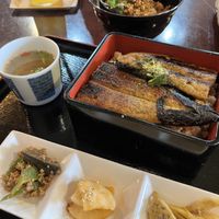 Unagi set and soboro rice   at Cafe Ren - Kamigyo in Kyoto