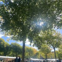   at Rotterdamse Oogstmarkt in Rotterdam