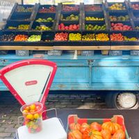   at Rotterdamse Oogstmarkt in Rotterdam