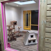 Cat play area, just opened so still getting things ready. They said the cats will move in after the current restrictions are lifted at The Purr in Dublin