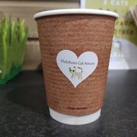 Oat cattucino at The Purr in Dublin