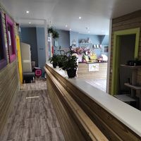 Inside at The Purr in Dublin