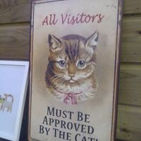  at The Purr in Dublin