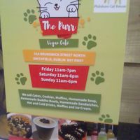  at The Purr in Dublin