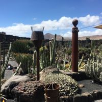 Cactus garden   at Cactus Garden in Lanzarote