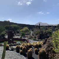view from the terracee  at Cactus Garden in Lanzarote