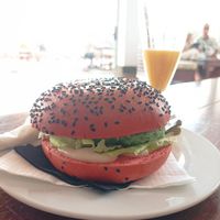  at Cactus Garden in Lanzarote