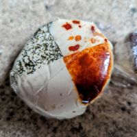 Cheese sampler at Virgin Cheese in Clarkdale